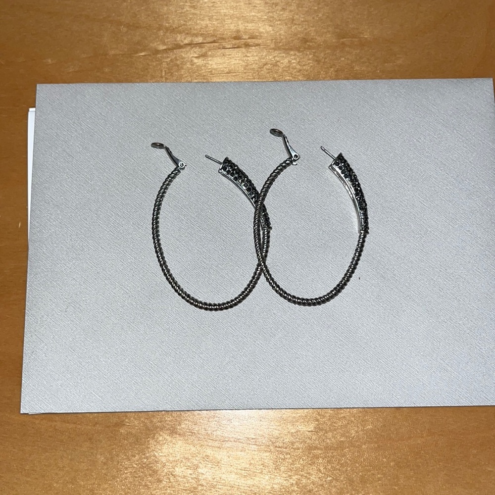 Alexis Bittar hoop earrings